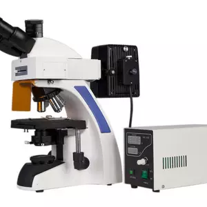 Люмінесцентні мікроскопи Люмінесцентні мікроскопи